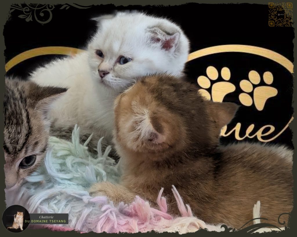 Nos pitchounes du 25 février 2026